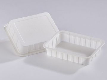 Thermoforming and Vacuum Forming